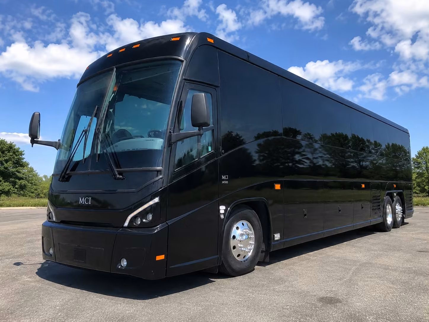 charter buses and minibuses for memphis zoo field trips compare your options in seconds